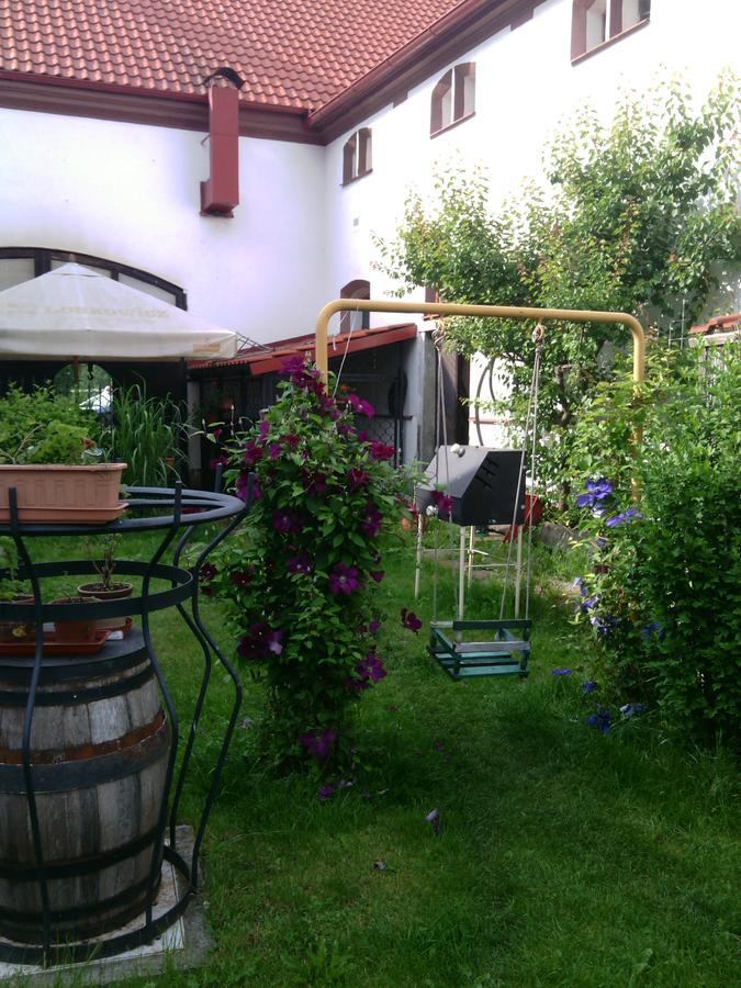 Penzion Patak Kamyk nad Vltavou Bagian luar foto