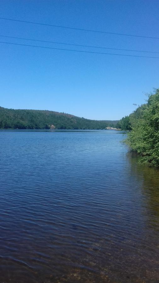 Penzion Patak Kamyk nad Vltavou Bagian luar foto